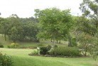 Grasmereresidential-landscaping-40.jpg; ?>
